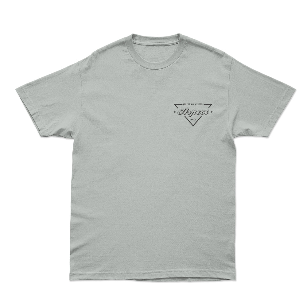 Chest Logo Aspect T-Shirt – Aspect Apparel